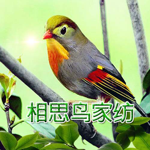 相思鸟家纺企业店