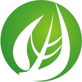 小绿萝园艺