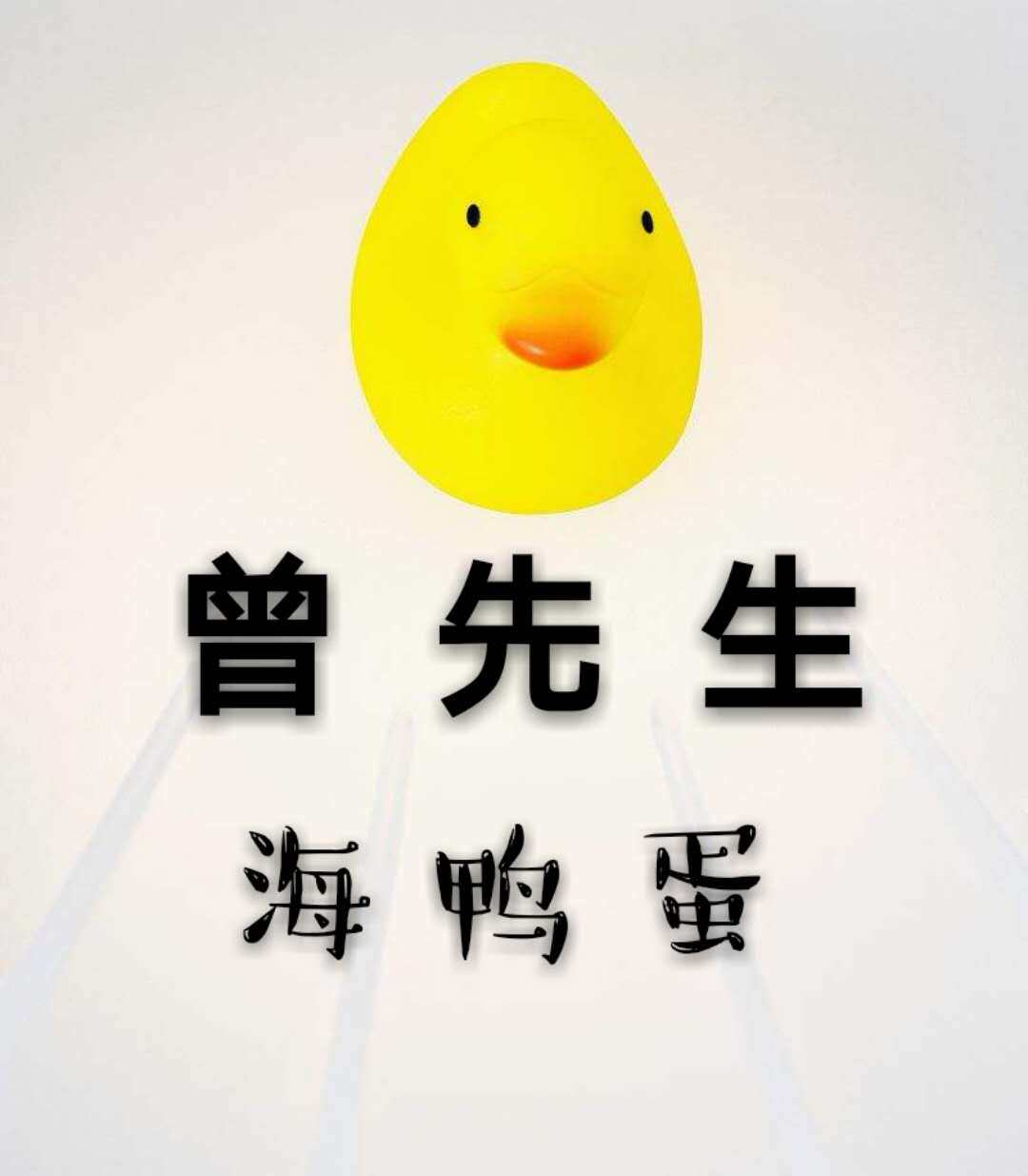 曾先生海鸭蛋