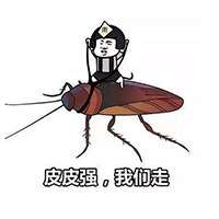 小强电子科技