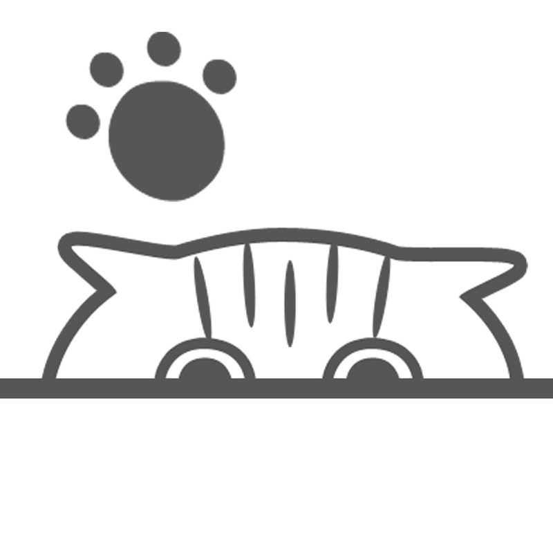 探探喵宠物生活