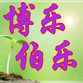博乐电子