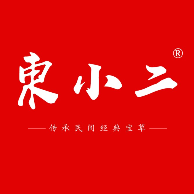 东小二旗舰店 店铺LOGO
