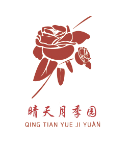 晴天月季园