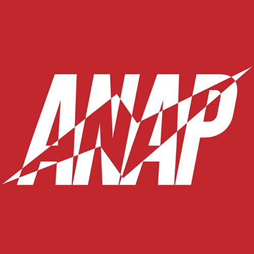 ANAP STORE 一颗苹果商店