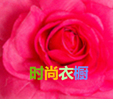 时尚衣橱私衣坊