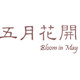 五月花开 质朴 天然