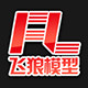 武汉飞狼模型