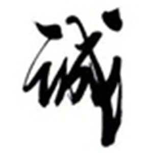 老和部队钢丝 店铺LOGO