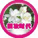靓妆时代