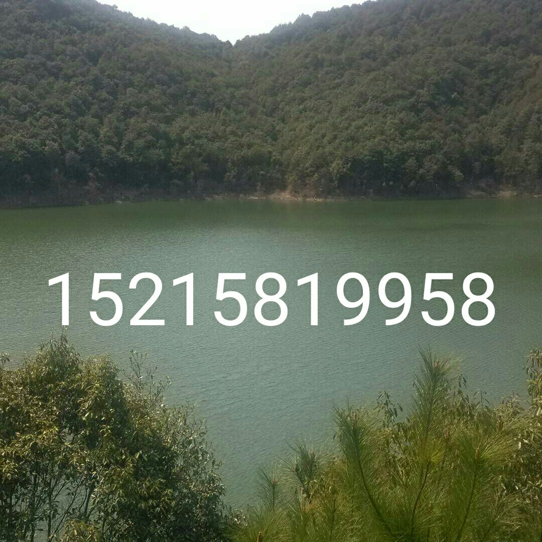 兴科电子科技