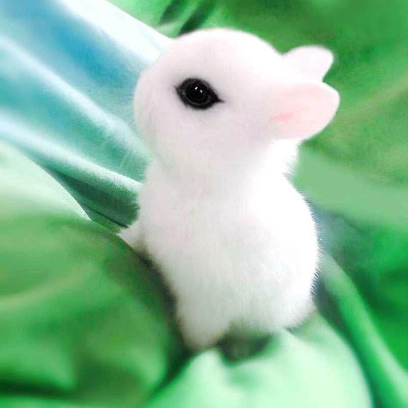 甜心萌宠乐园