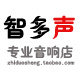 智多声专业音响店