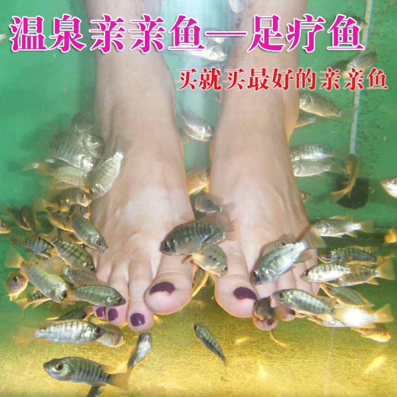 一兴水产养殖基地