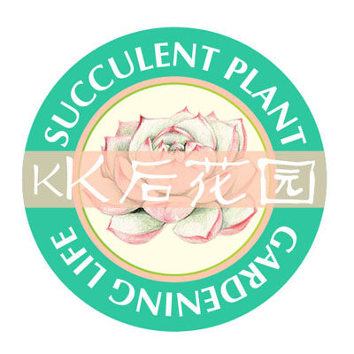 KK后花园