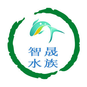 智晟宠物用品企业店