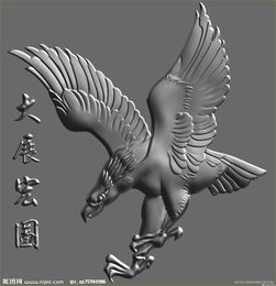 河北睿达水泵 店铺LOGO