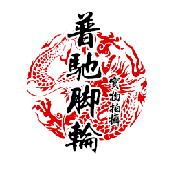 上海普驰脚轮厂家直销 店铺LOGO