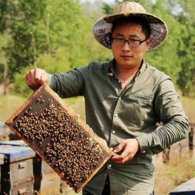 小两口东北黑蜂原蜜直销店