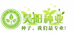 昊阳种业 店铺LOGO