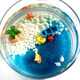 家有鱼水族用品