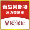 青岛莱斯特仪表仪器有限公司