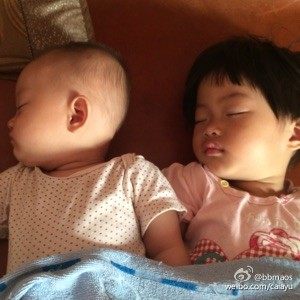 佩妈淘淘乐