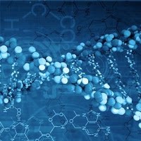 上海易泽生物科技