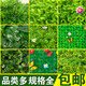 缘起花卉园艺
