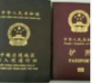 东兴市晨浩商行