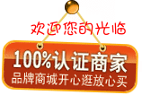 路路通电子