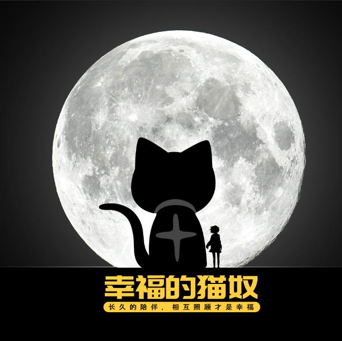 驭猫坊