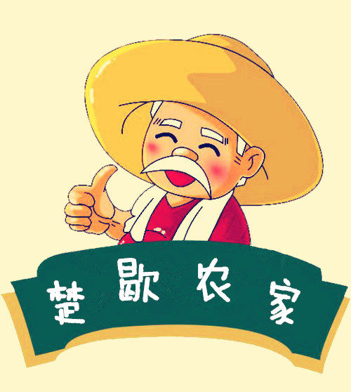 楚歇特产店