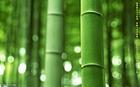 竹天下家居厂家直销