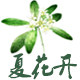 夏花开香品馆