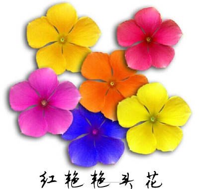 红艳艳百货有限公司