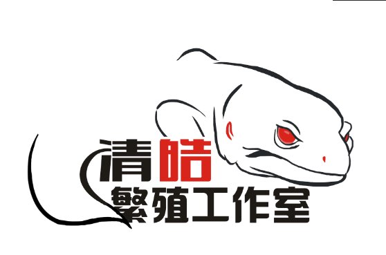 清皓工作室
