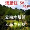滴腊红云南特产5V总店 店铺LOGO