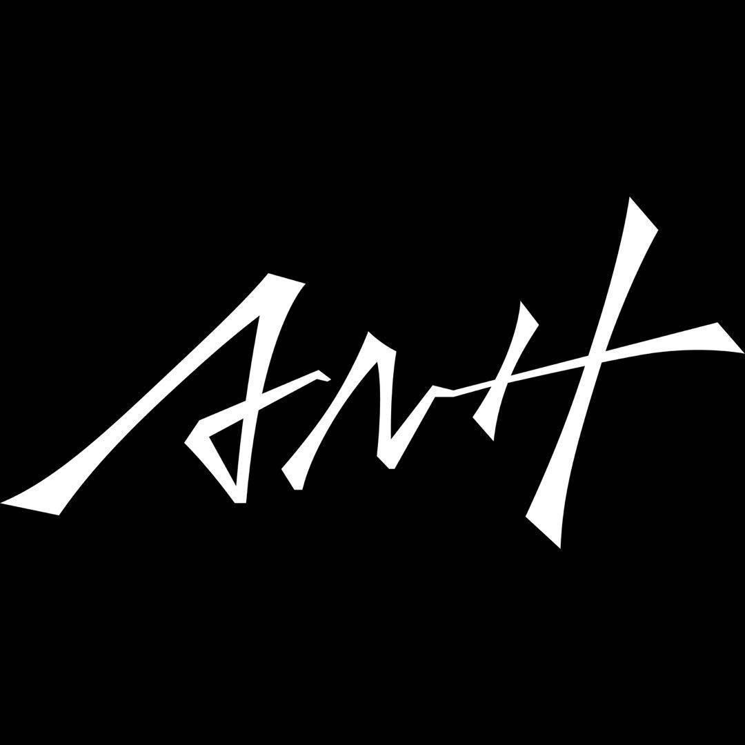 anh旗舰店