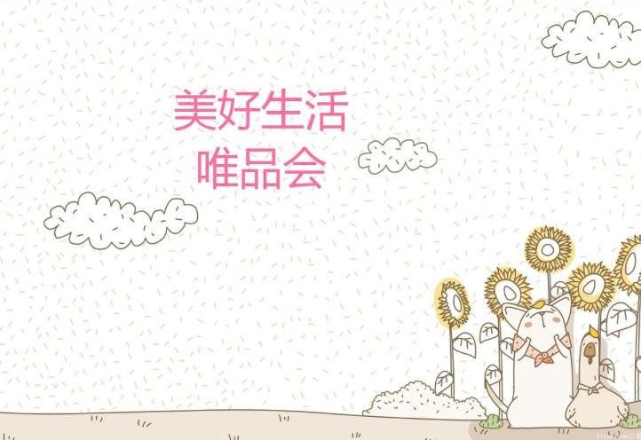 优品电子企业店
