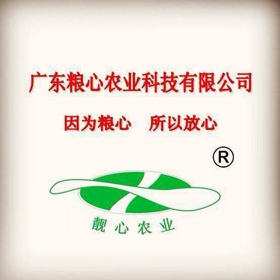 新兴粮心农业