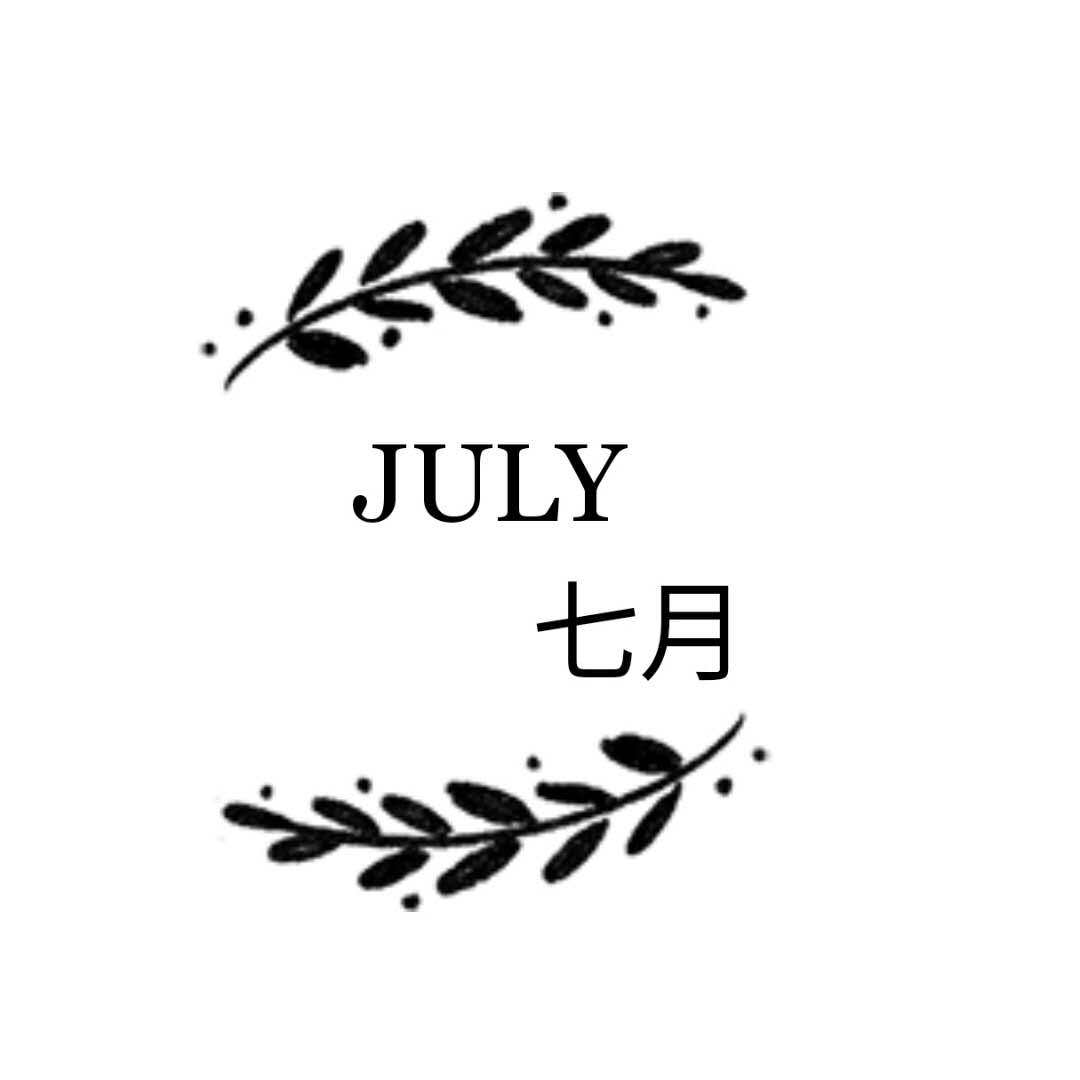 七月内衣阁