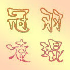 冠羽贸易
