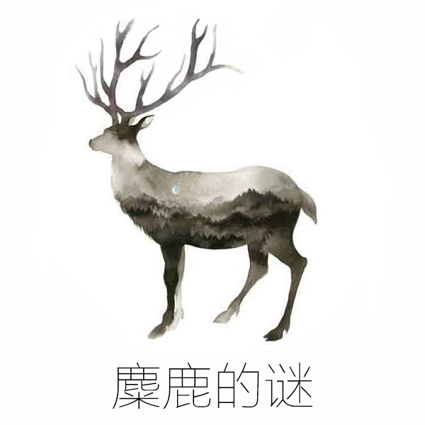 袜子的猜想