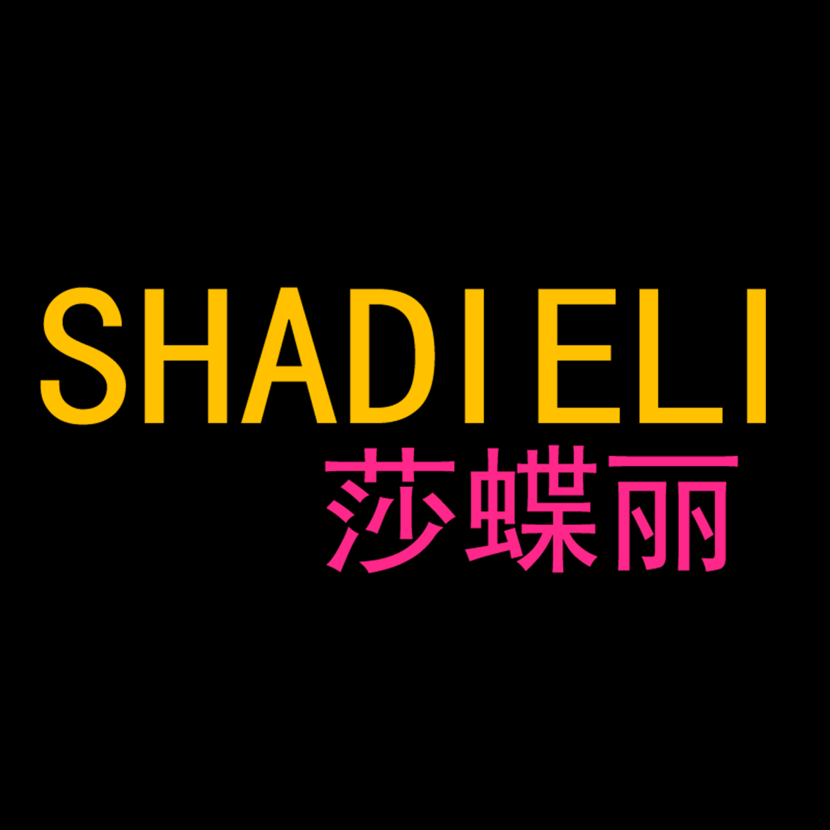 SHADIELI养身内衣馆