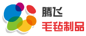 腾飞毛毡制品