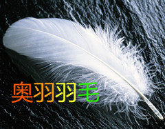 奥羽羽毛制品厂