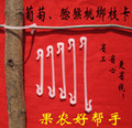 葡萄猕猴桃绑枝卡 店铺LOGO