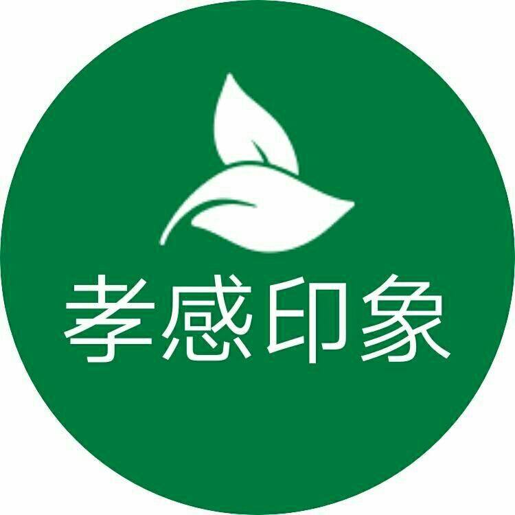 孝感印象特产