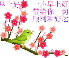 姐妹内衣坊